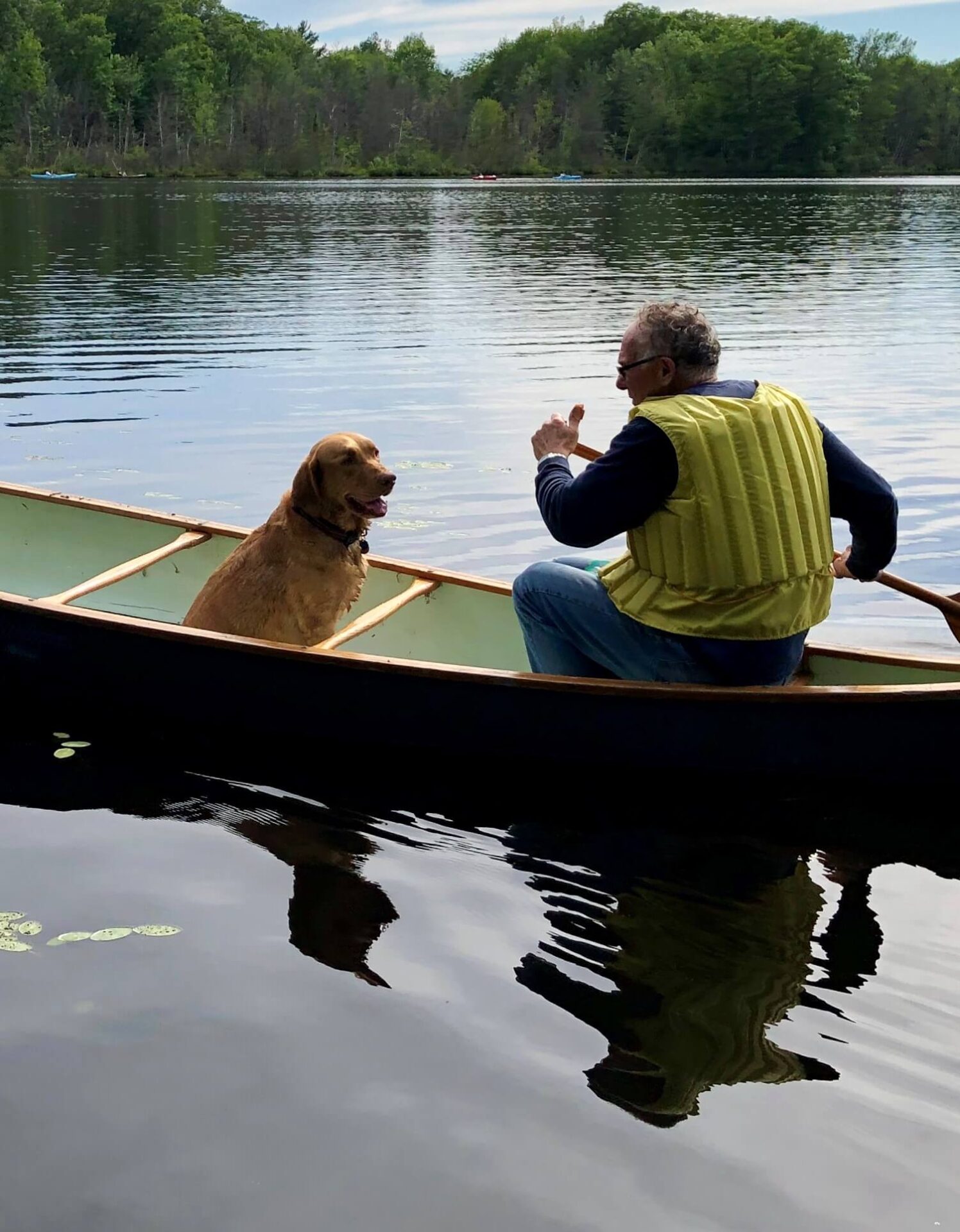 Harmony Family Dog Training