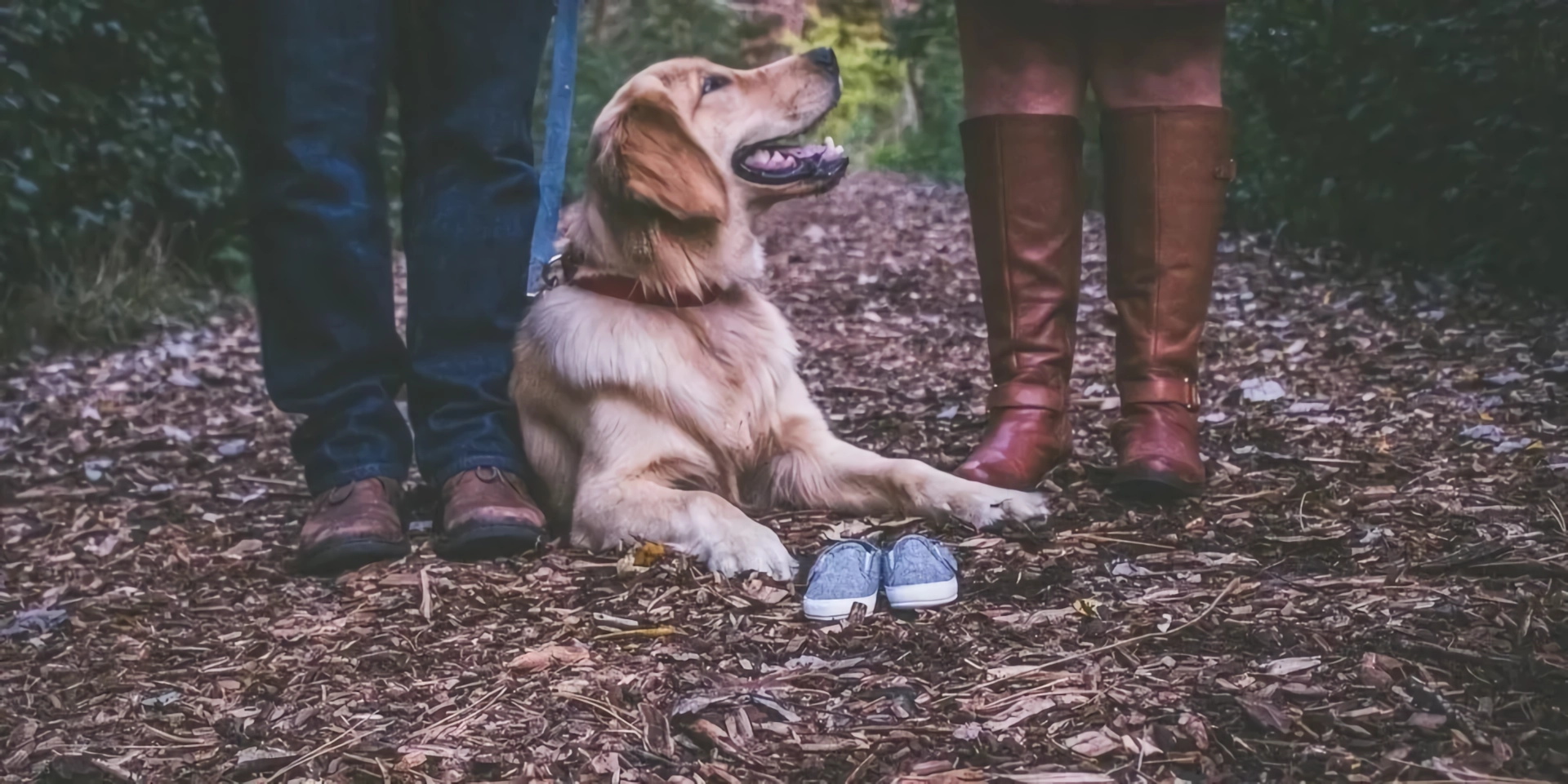 Two person and dog - hero image